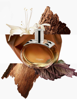 Barénia Edp Intense